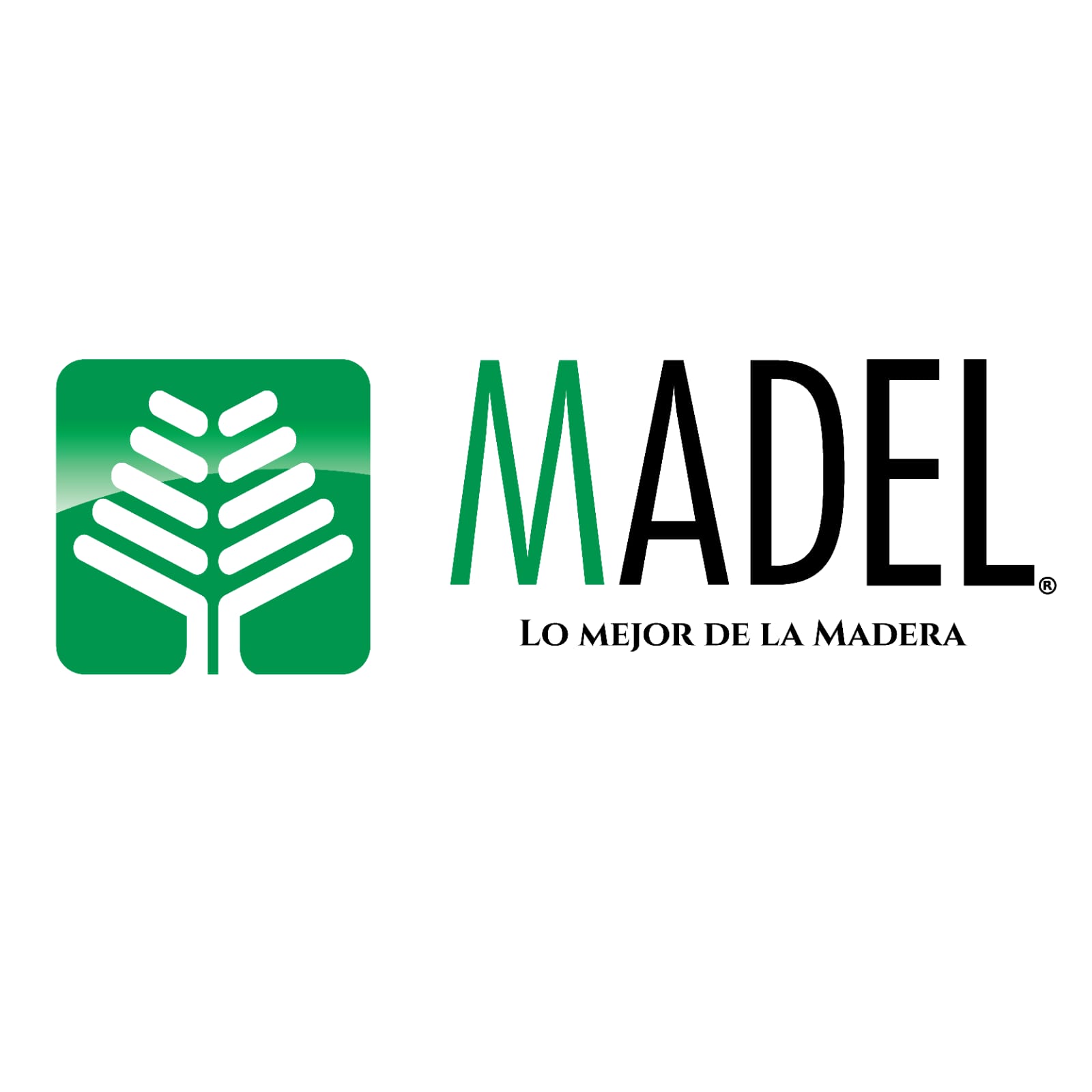 MADEL
